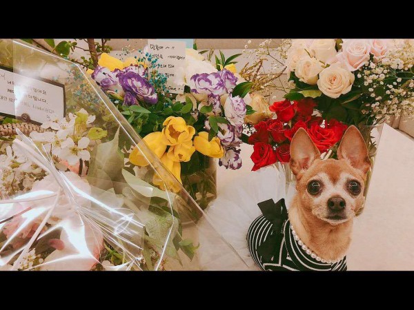 389ba941dc6c9899da9fe248c1d496b7_1556241