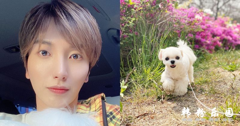 两个礼拜三度受害　利特 Instagram 再度被人试图盗用