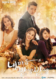 我心闪亮 裴秀彬 张申英 李必模 李泰林 全集26集