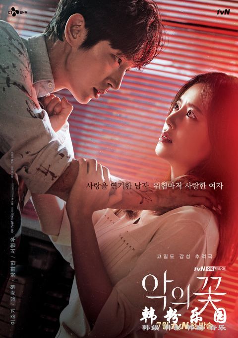 《恶之花》文彩元 李准基 合作 变身、追踪、恋情