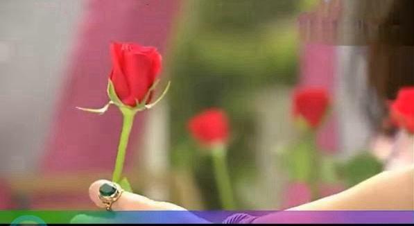 《最佳爱情》穿帮镜头(有图)